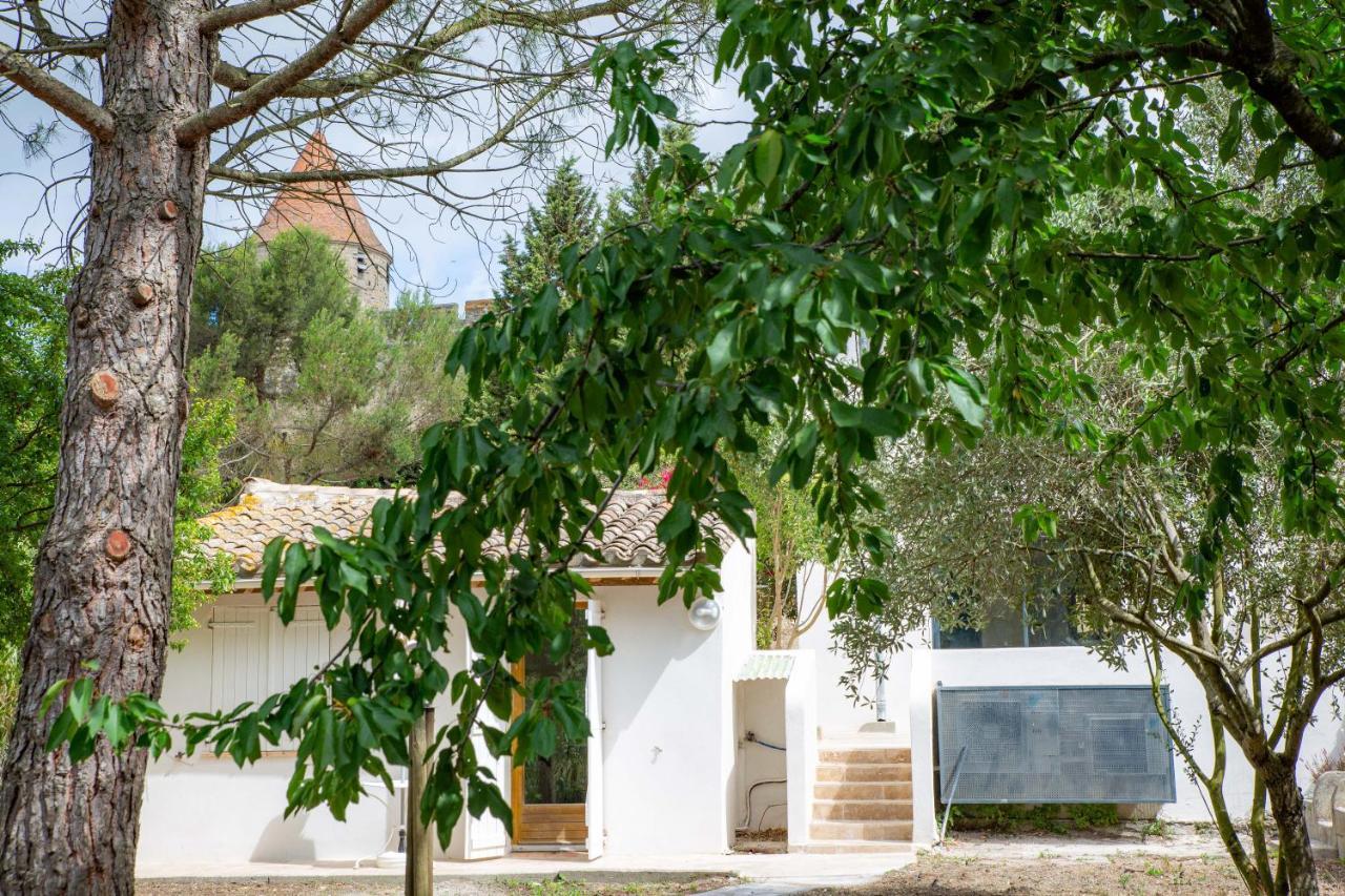 Les Pimprenelles Villa Carcassonne Exterior photo